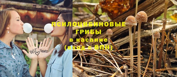 MESCALINE Магас