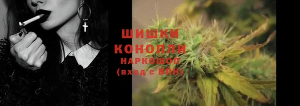 прущие грибы Майский