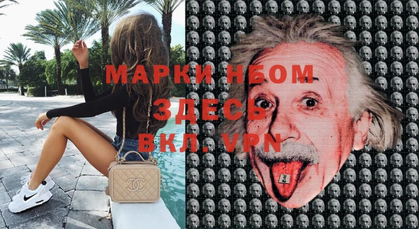 прущие грибы Майский