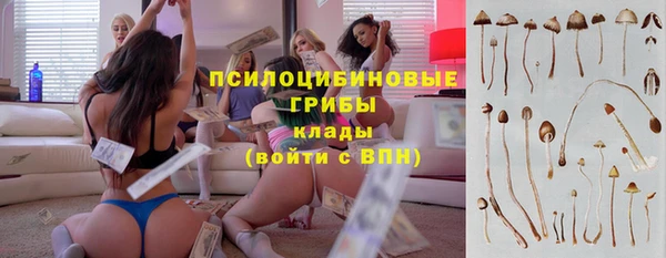 прущие грибы Майский