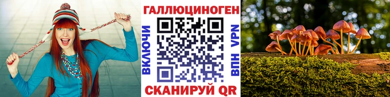 Купить  Барнаул  Псилоцибиновые грибы Cubensis 